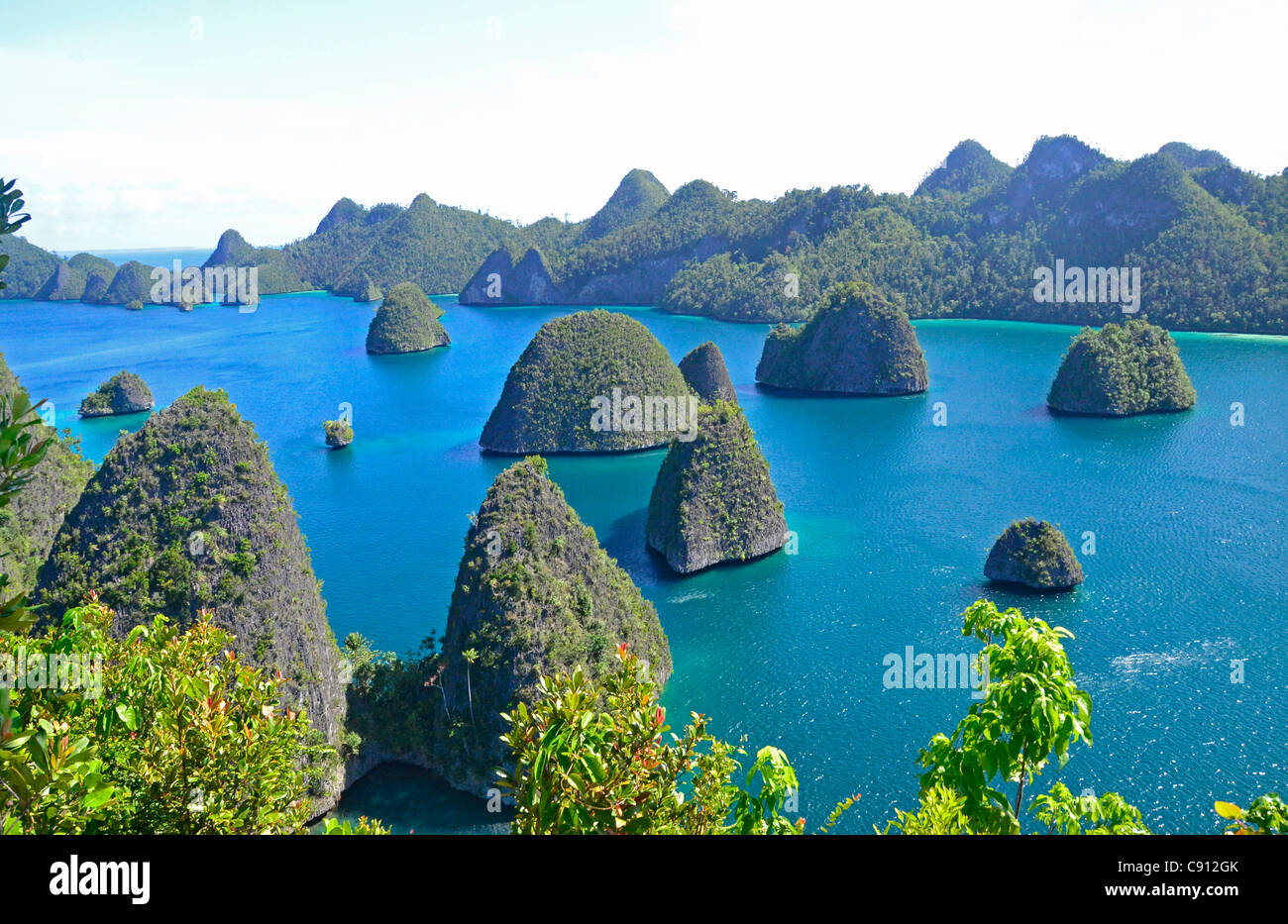 Vista Isole Wayag Raja Ampat isole vicino Papua occidentale, in Indonesia nel triangolo di corallo, Oceano Pacifico. Foto Stock