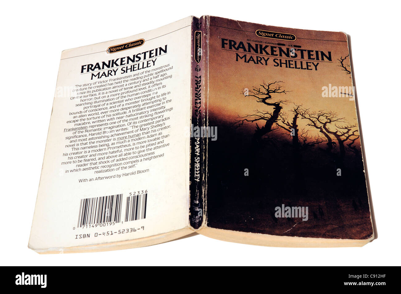 Frankenstein di Mary Shelley Foto Stock