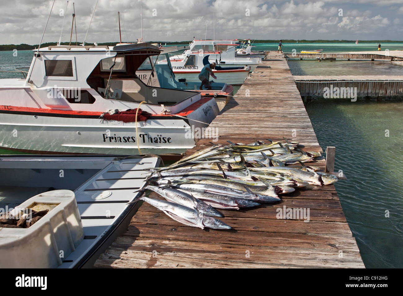 I Paesi Bassi, Bonaire Island, olandese dei Caraibi, Kralendijk, pesci di mare catturati per ristorante. Foto Stock