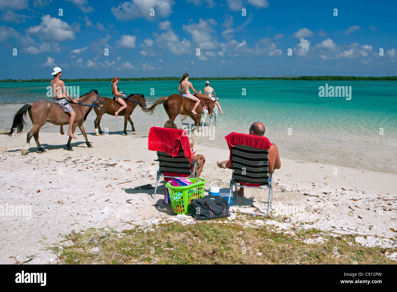 I Paesi Bassi, Bonaire Island, olandese dei Caraibi, Kralendijk, Lac Bay. Equitazione. Di raffreddamento in mare. Foto Stock