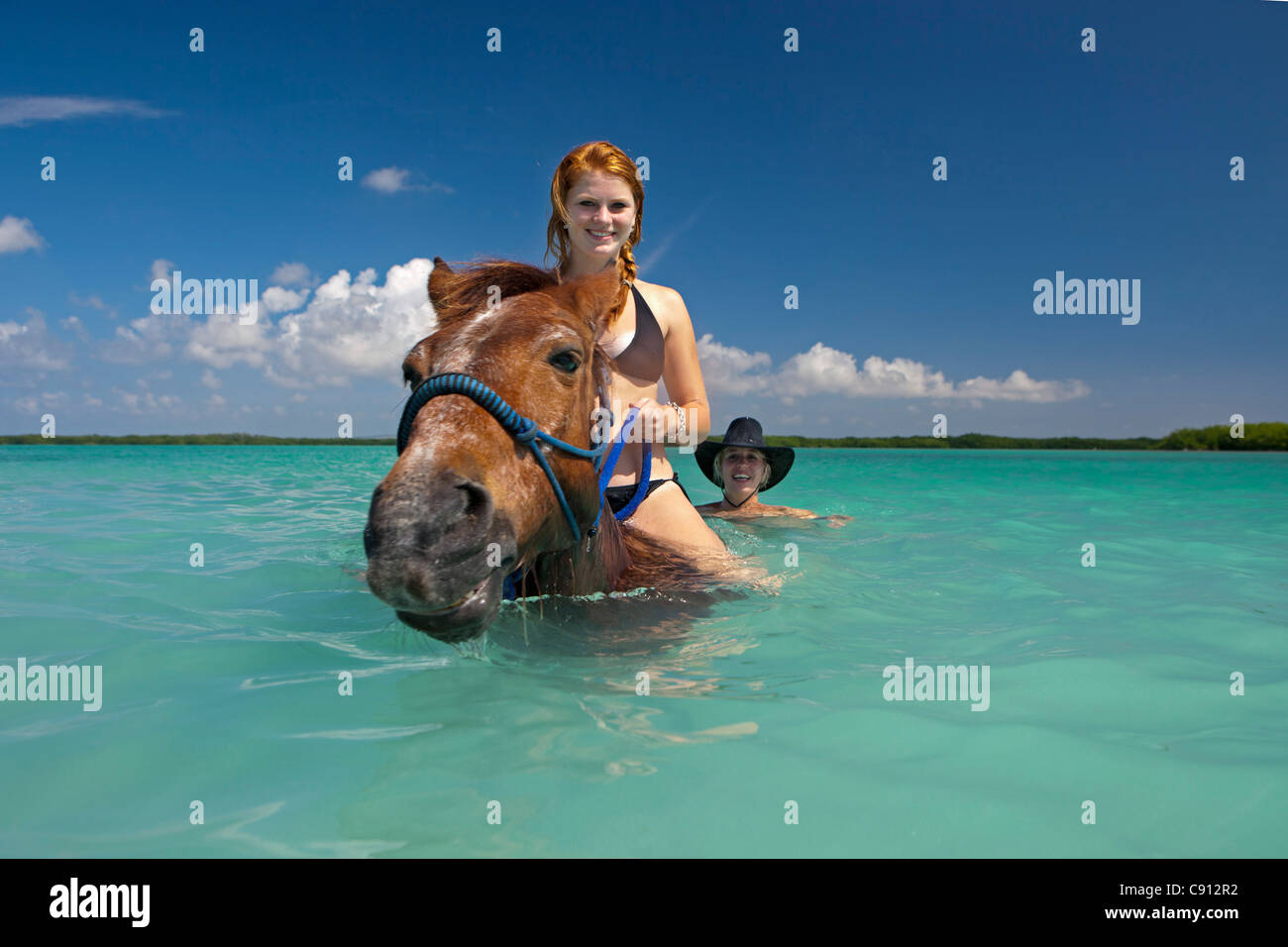 I Paesi Bassi, Bonaire Island, olandese dei Caraibi, Kralendijk, Lac Bay. Equitazione. Di raffreddamento in mare. Foto Stock
