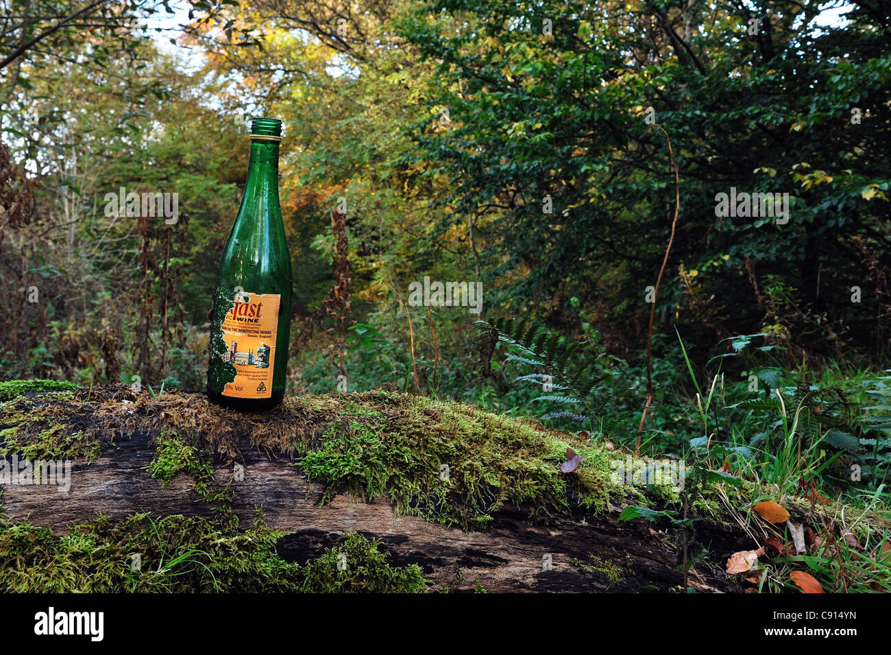 Una bottiglia di Buckfast Vino tonico in una zona boschiva in Airdrie, Scozia. Foto Stock