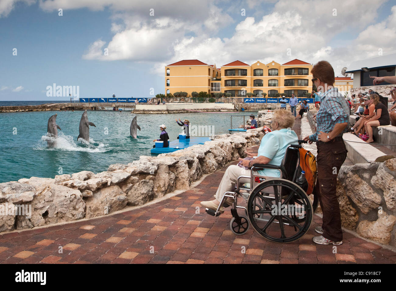 Curacao, isola dei Caraibi, indipendente dai Paesi Bassi a partire dal 2010. Willemstad. Acquario marino. Spettacolo di Delfini. Foto Stock