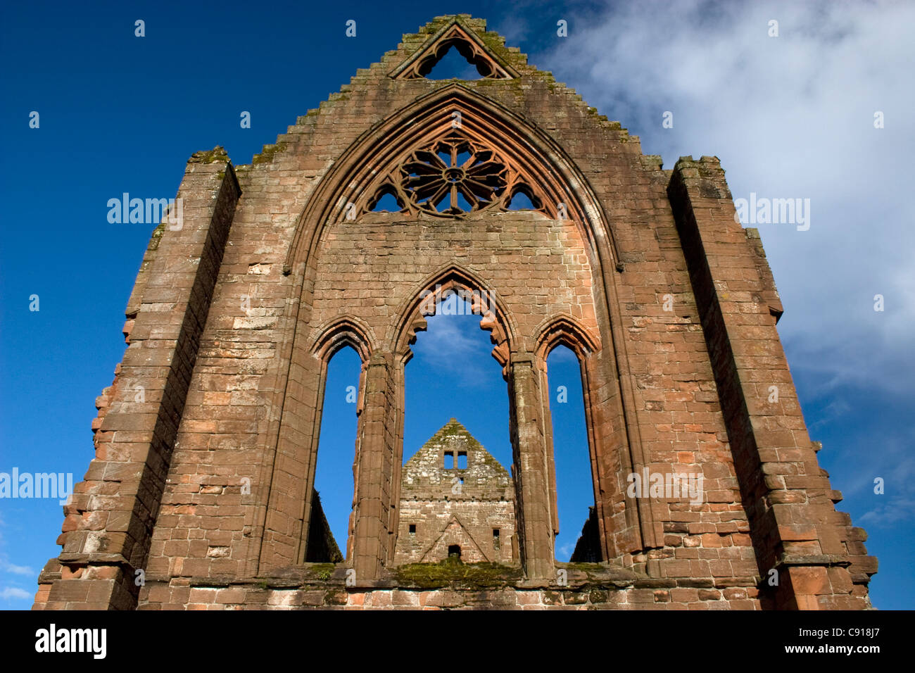 Sweetheart Abbey in Dumfries & Gallowayis una rovina costruita nel XII secolo e un monumento ecclesiastico. Il gothis windows sono Foto Stock