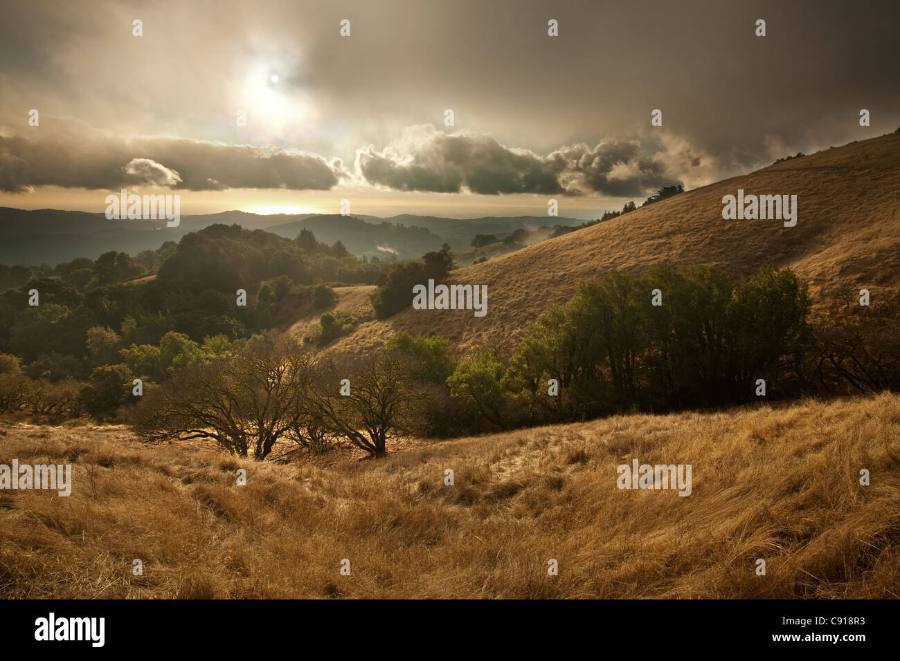 Cancellazione di tempesta su California prato in cresta russo spazio aperto, vicino a Palo Alto Foto Stock