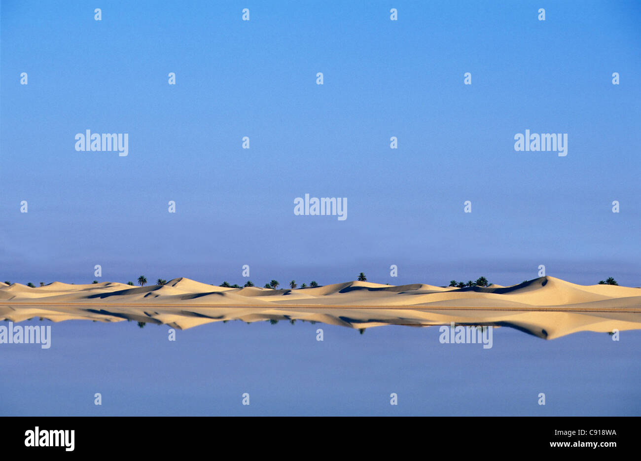 'Algeria, vicino Ouargla, nel Sandsea orientale. (Grand Erg Oriental). Deserto del Sahara. Lago salato. Dune di sabbia. Foto Stock