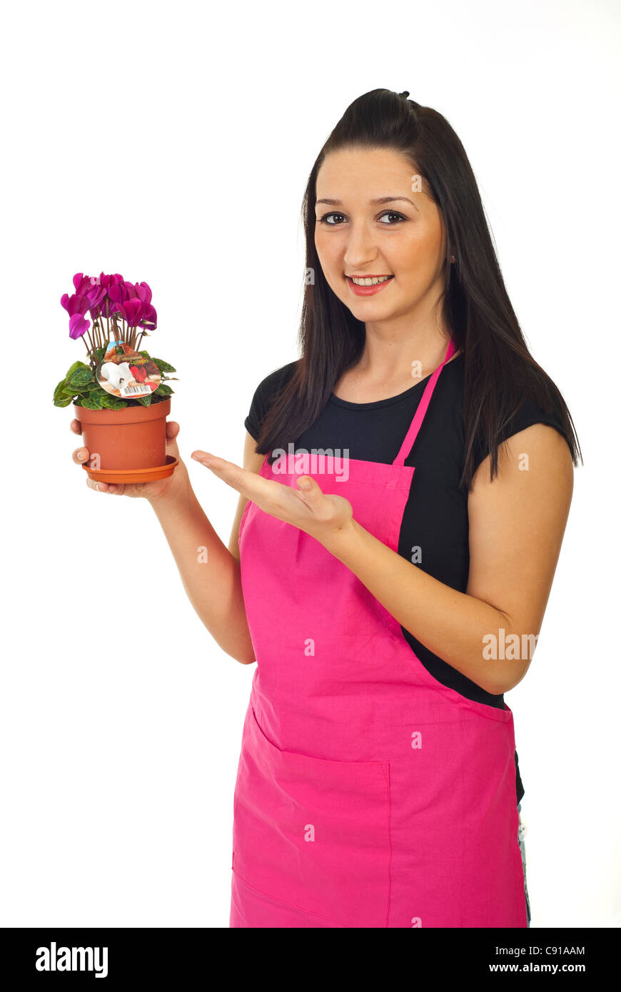 Fioraio donna in un negozio che offre il ciclamino in una pentola per la vendita isolati su sfondo bianco Foto Stock