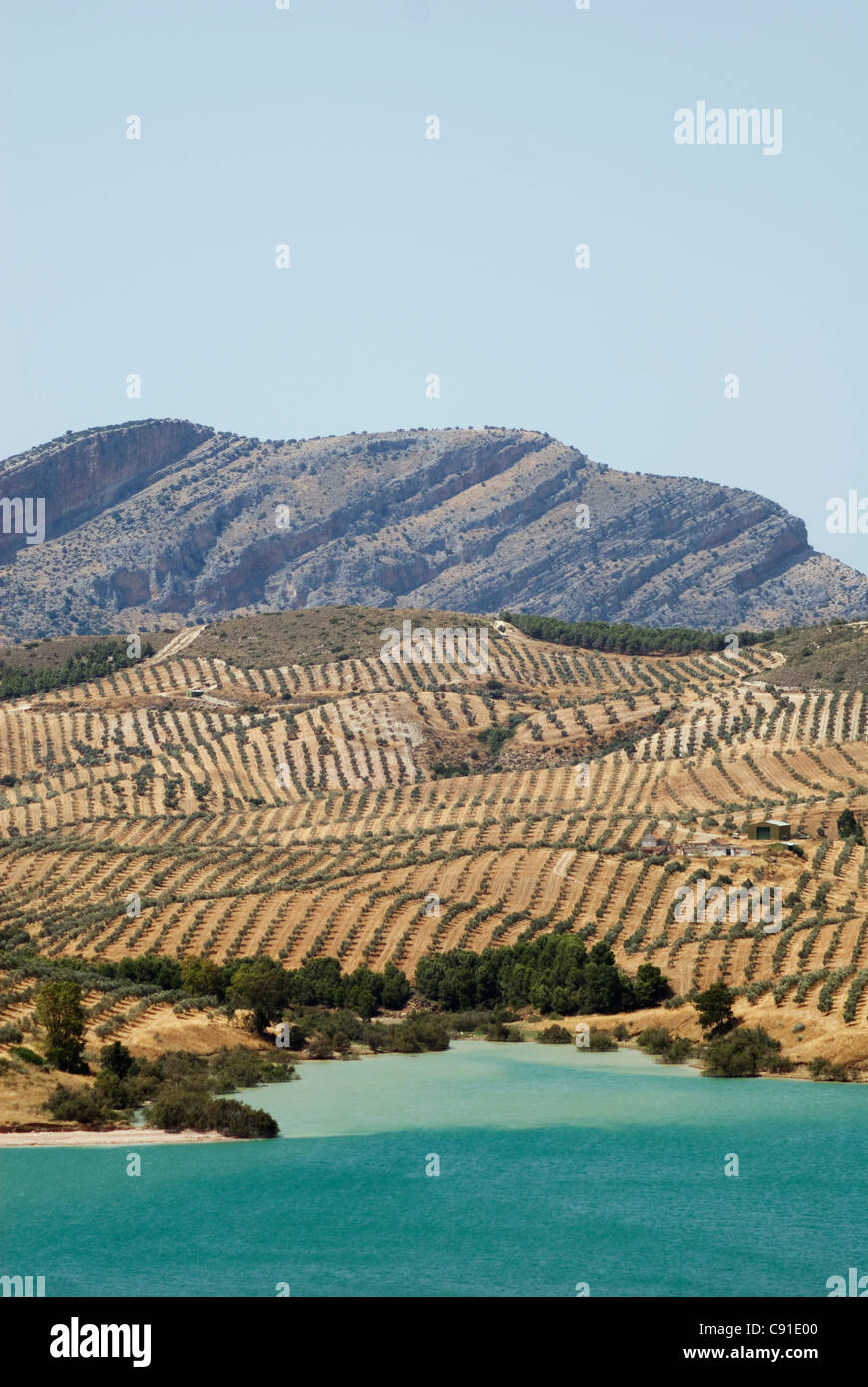 Embalse Del Conde de Guadalhorce è un lago artificiale con oliveti sul paesaggio dietro tra El Chorro Gorge e Foto Stock