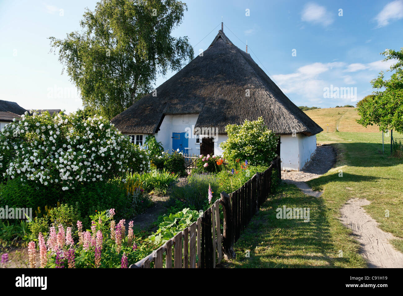 Il pittoresco del Pastore Casa vedova, Gross Zicker, Moenchgut, Ruegen, Meclemburgo-Pomerania Occidentale, Germania, Europa Foto Stock