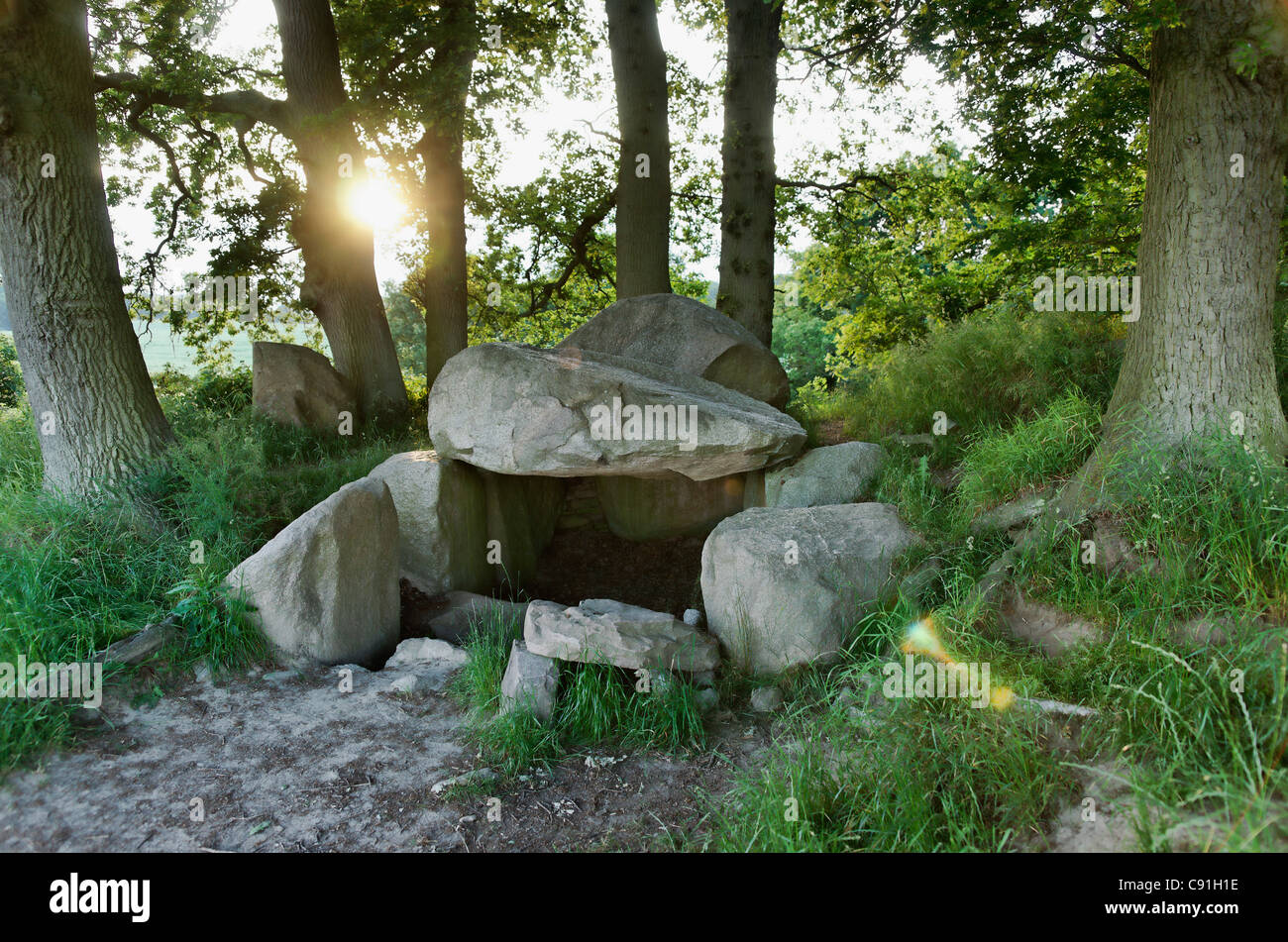 Dolmen nel mezzo di alberi, Lancken-Granitz, Ruegen, Meclemburgo-Pomerania Occidentale, Germania, Europa Foto Stock
