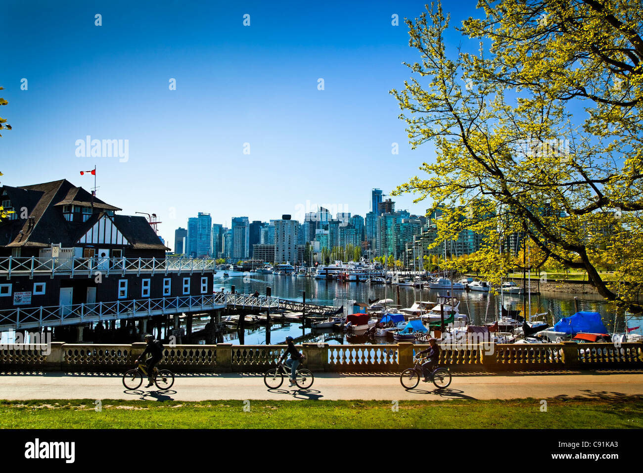 I ciclisti allo Stanley Park Harbour con vista della skyline di Vancouver, B.C., Canada, molla Foto Stock