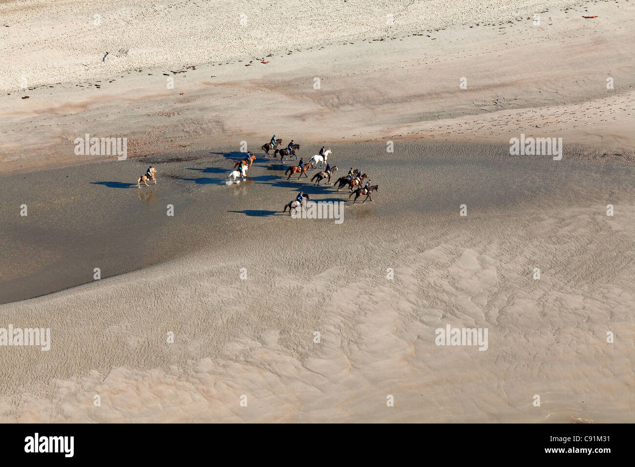 Antenna di cavalli sulla costa del Mare del Nord spiaggia, Bassa Sassonia, Germania Foto Stock