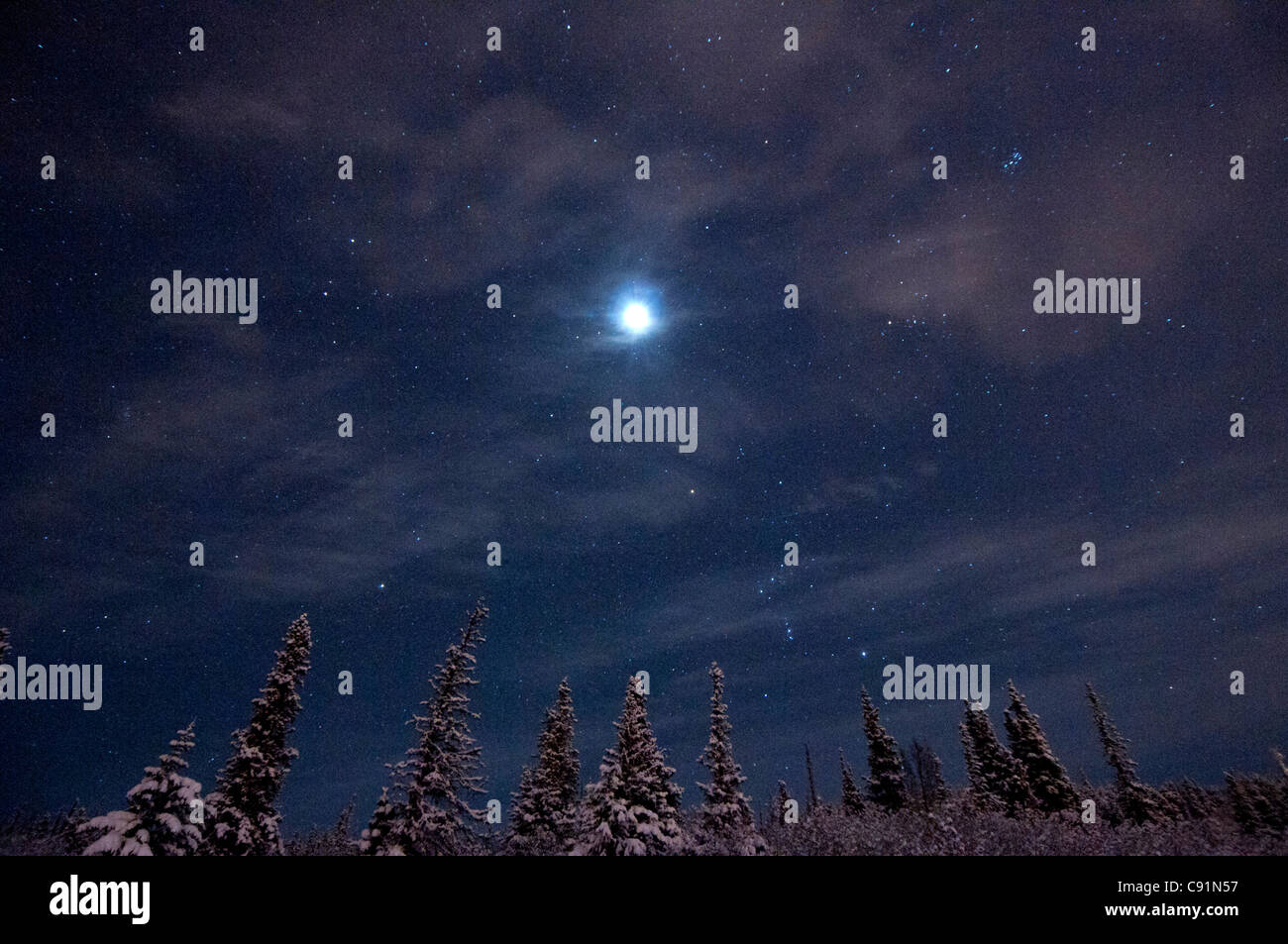 Luna piena e un inverno stellato di notte oltre la zona collinare al di sopra di ancoraggio, centromeridionale Alaska, inverno Foto Stock