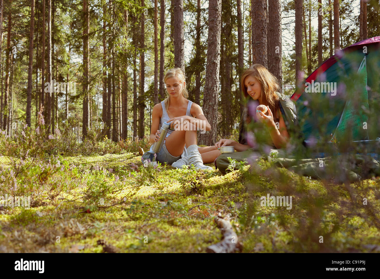 La donna seduta al campeggio in foresta Foto Stock