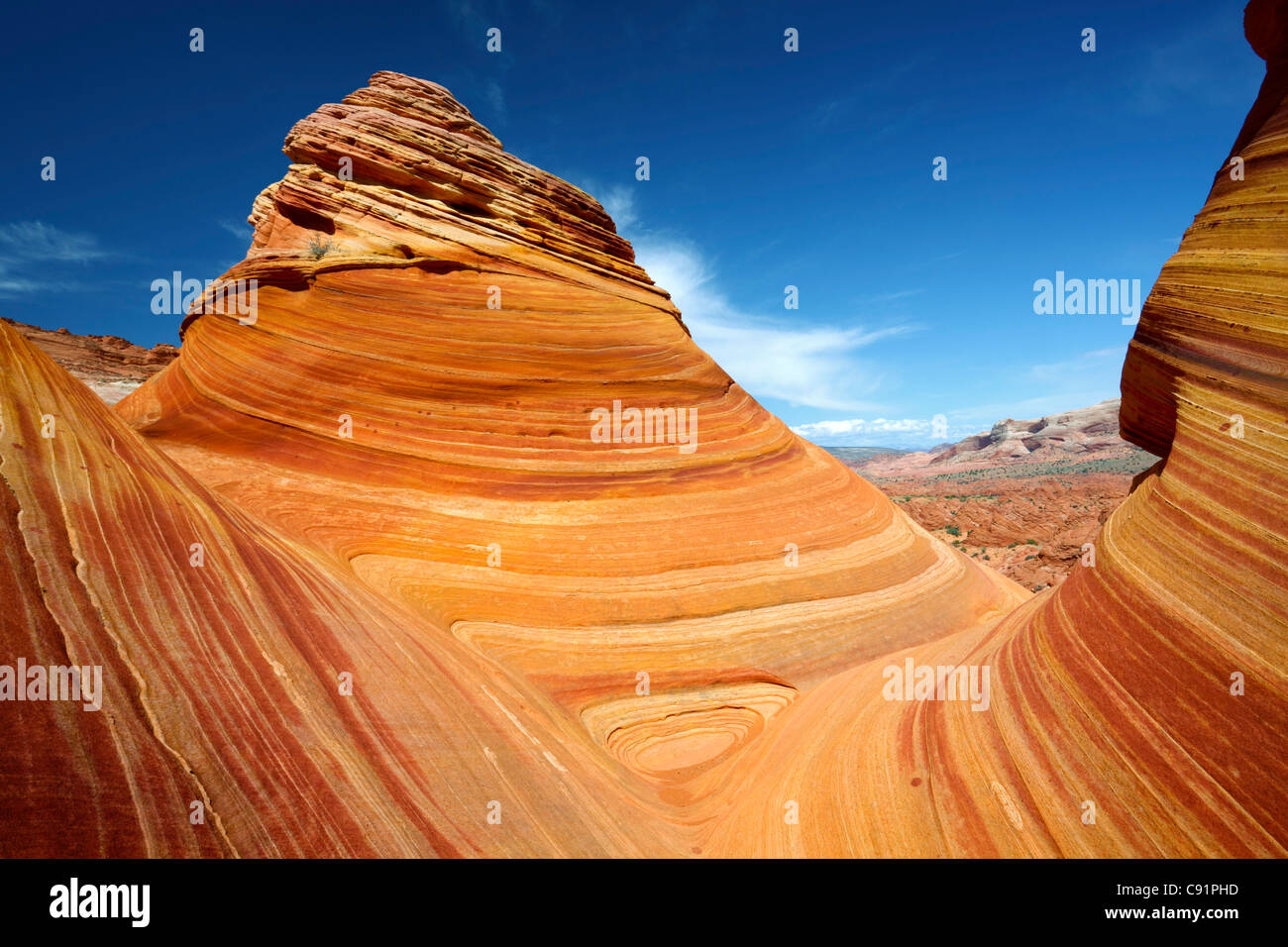 Formazioni di arenaria, Wave, Coyote Buttes, Vermiglio scogliere monumento nazionale Foto Stock