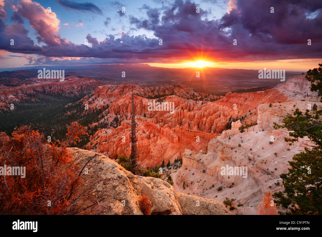 Hoodoos e le formazioni rocciose di sunrise, Parco Nazionale di Bryce Canyon Foto Stock