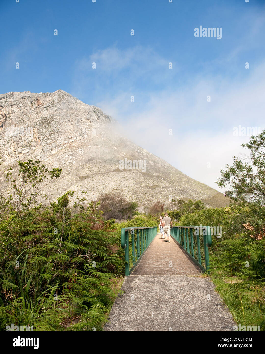 Harold Porter National Botanic Garden vicino a Betty's Bay nel Western Cape in Sud Africa è un bellissimo giardino con molti rari Foto Stock