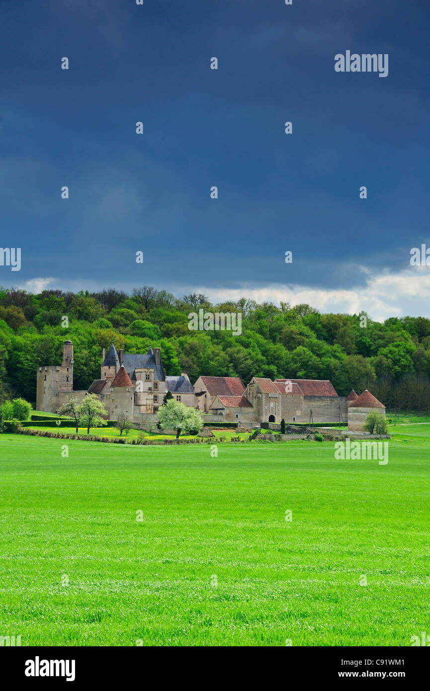 Il Chateau de Faulin in Borgogna, Francia. Spazio per il testo sul cielo o campo verde. Foto Stock