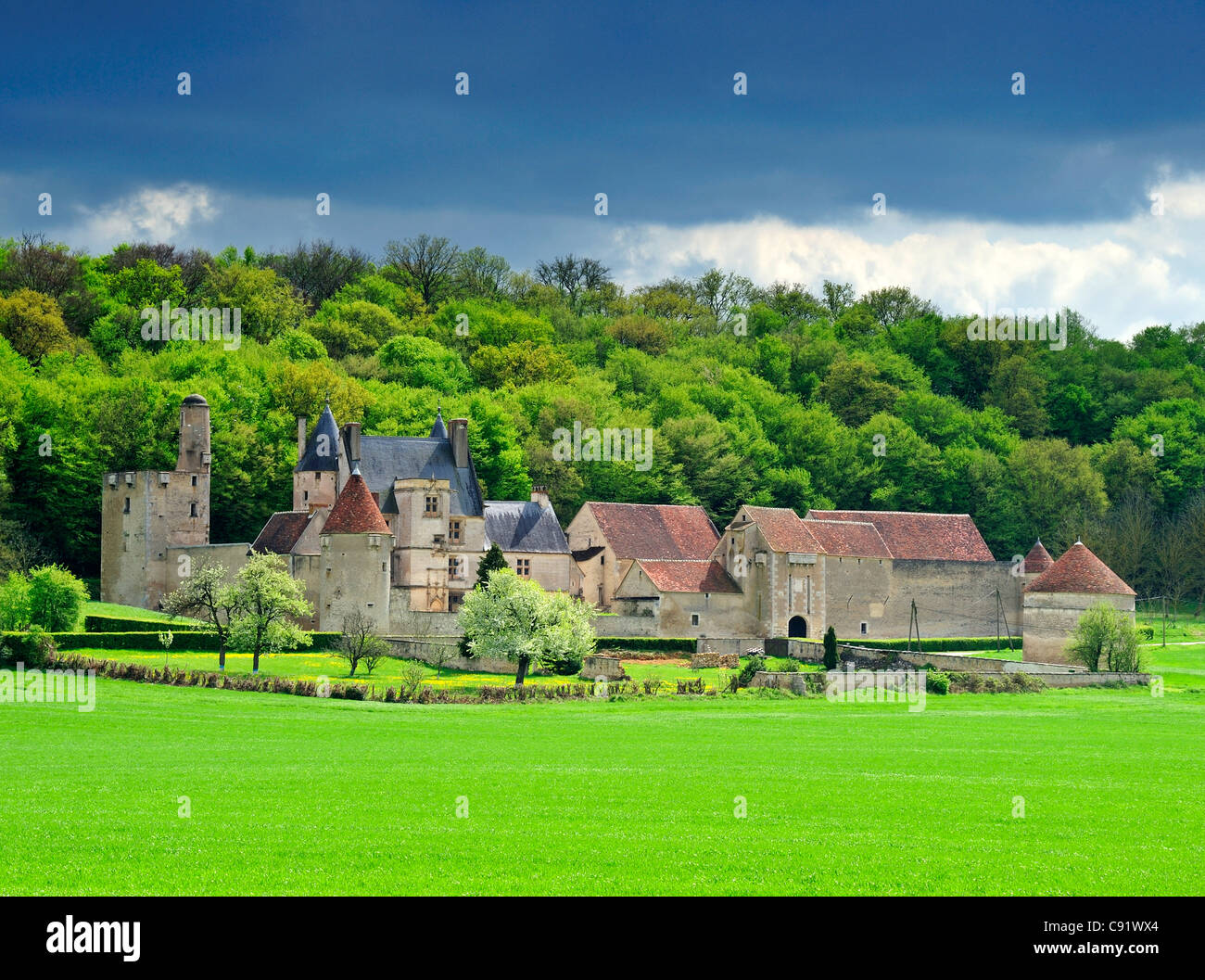 Il Chateau de Faulin in Borgogna, Francia. Spazio per il testo sul cielo o campo verde. Foto Stock