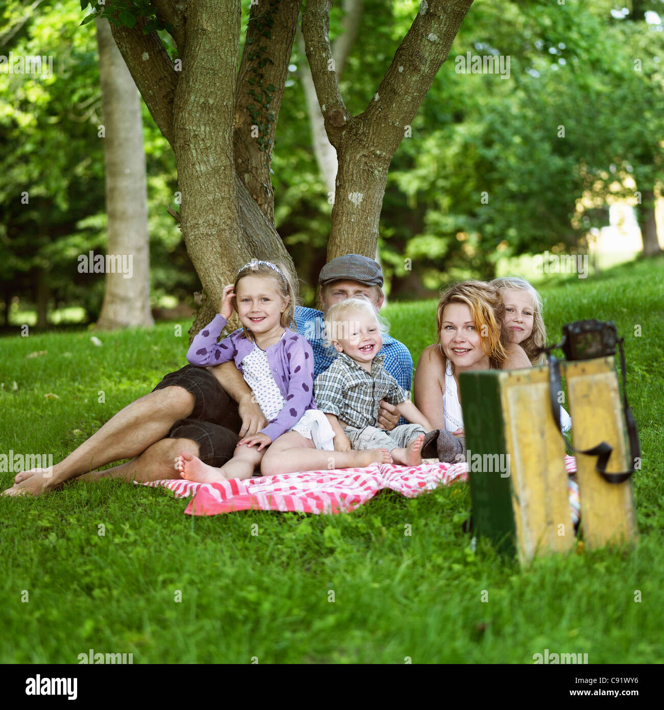 Famiglia avente picnic insieme Foto Stock