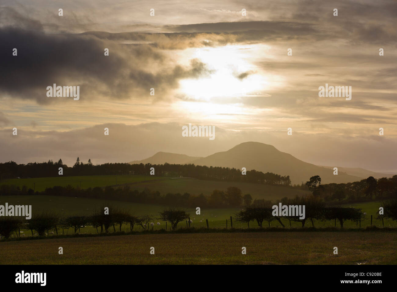 Il Eildon Hills, Scottish Borders, Regno Unito Foto Stock