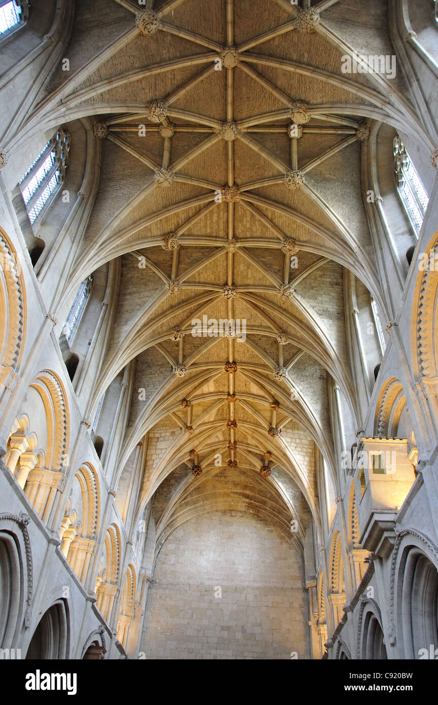 Ornato soffitto della navata di Malmesbury Abbey, Malmesbury, Wiltshire, Inghilterra, Regno Unito Foto Stock