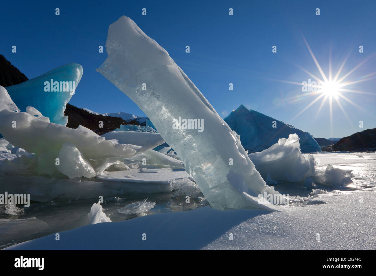 New Scenic 5 posti di grandi iceberg congelati in Mendenhall Lago su un sub zero giornata soleggiata, all'interno del passaggio, a sud-est di Alaska, inverno Foto Stock