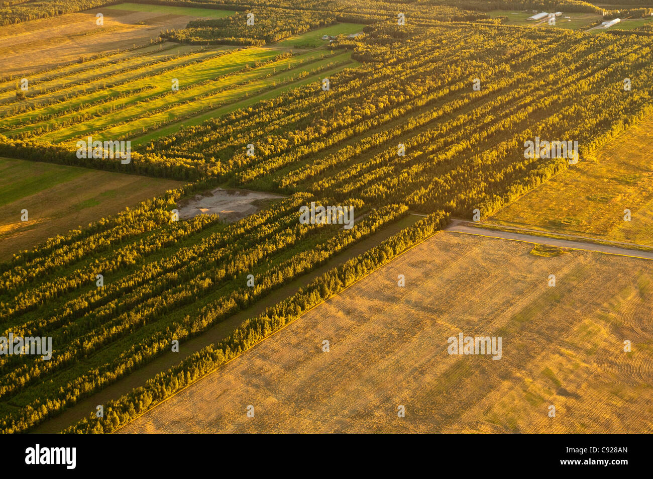 Vista aerea di terreni agricoli nella valle Matanuska-Susitna vicino al punto MacKenzie, centromeridionale Alaska, Autunno Foto Stock