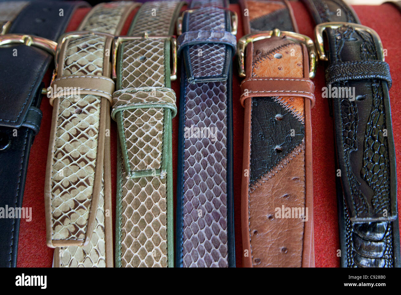 Cintura Donna In Pelle PU Con Fibbia Serpente | Design Vintage Per Abiti E Jeans | Taffetà Alley Con Sacchetto Regalo