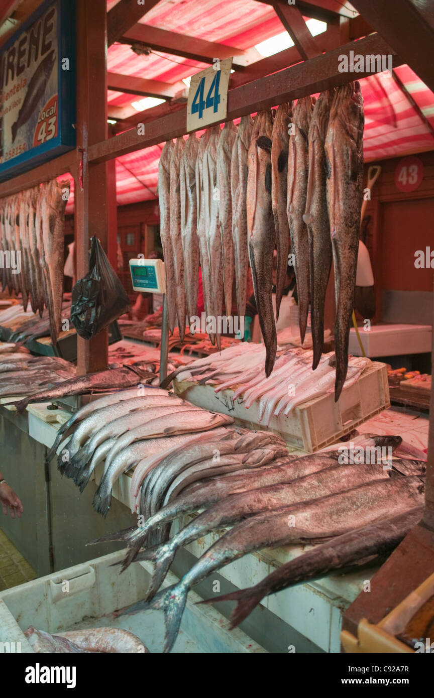 Il Cile, Puerto Montt Angelmo Mercato del pesce, pesce per la vendita al mercato in stallo Foto Stock