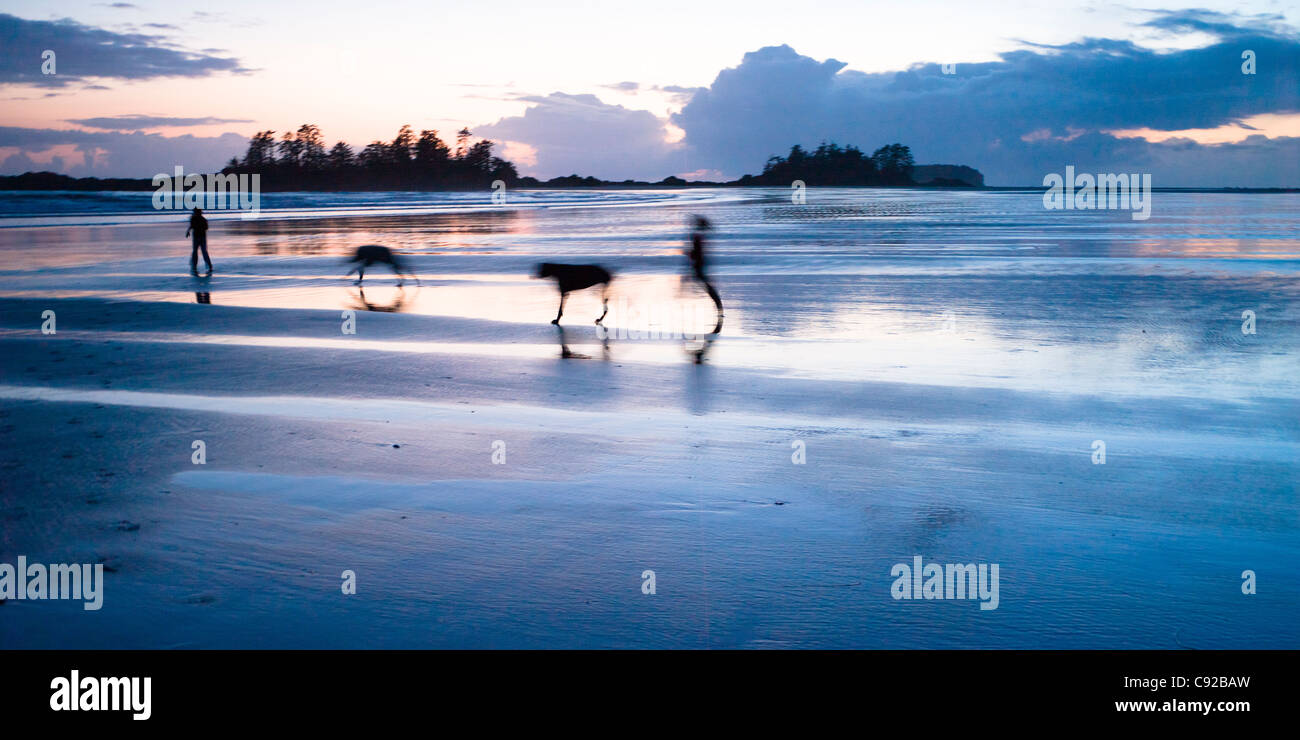 Tramonto sulla spiaggia di Chesterman vicino a Tofino, isola di Vancouver, British Columbia in Canada Foto Stock