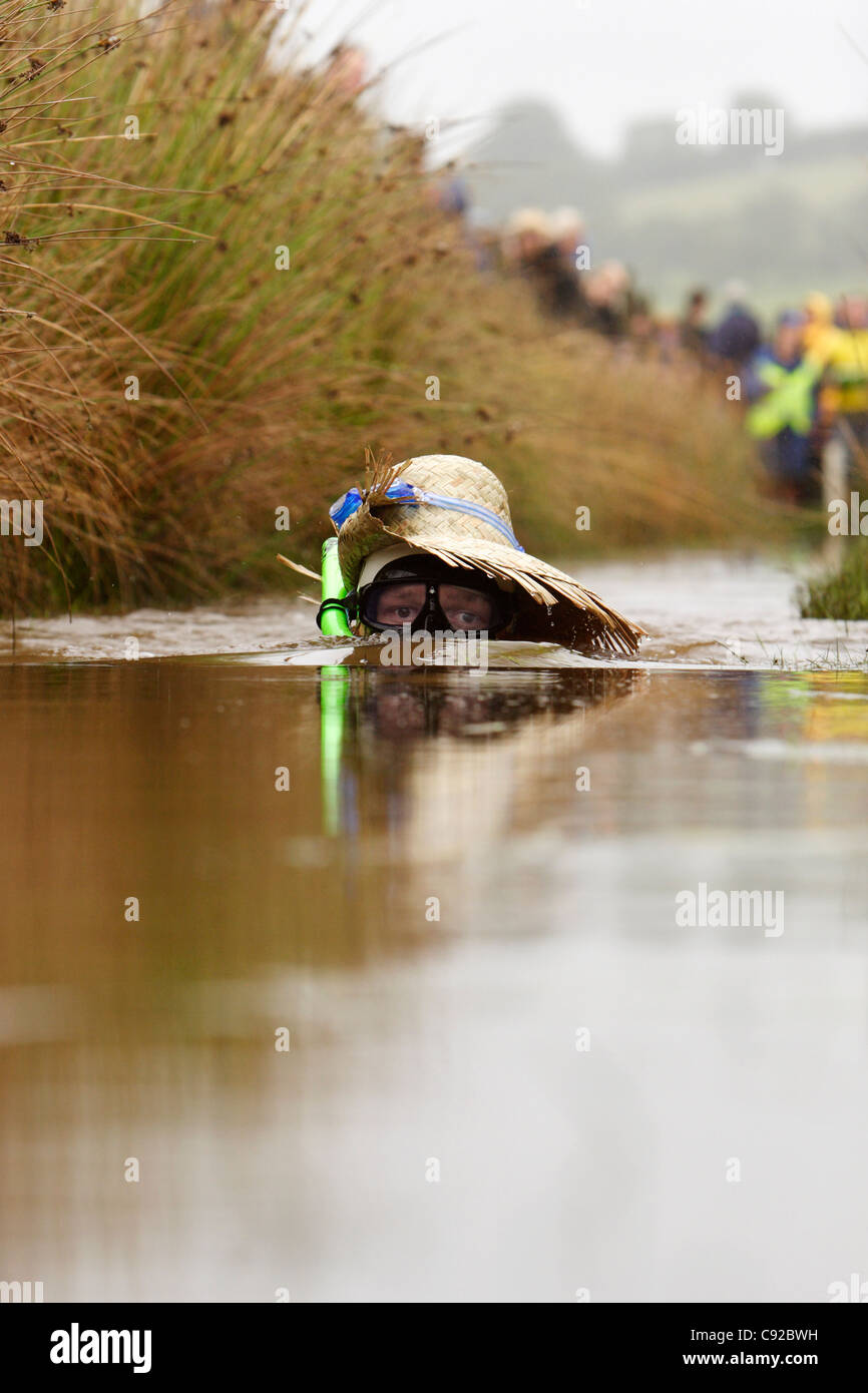 Il bizzarro mondo annuale Bog Snorkelling Championships tenutasi in una torbiera alla periferia di Llanwrtyd Wells, Powys, Galles Foto Stock