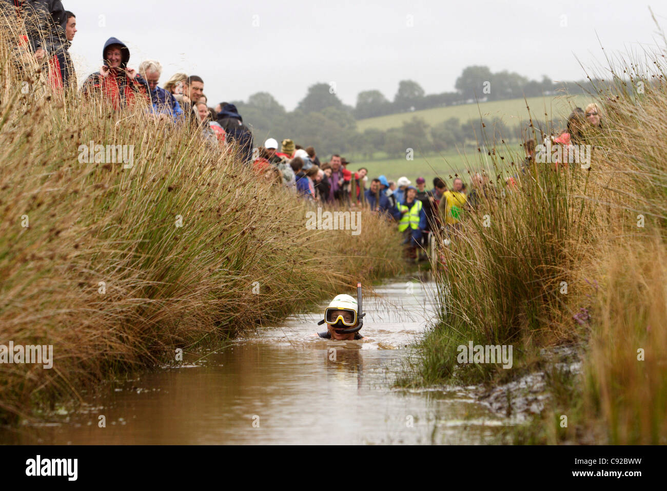 Il bizzarro mondo annuale Bog Snorkelling Championships tenutasi in una torbiera alla periferia di Llanwrtyd Wells, Powys, Galles Foto Stock