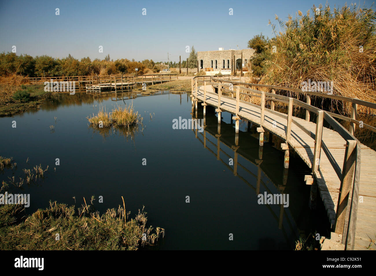 Il Azraq Wetland riserva, Azraq, Giordania. Foto Stock