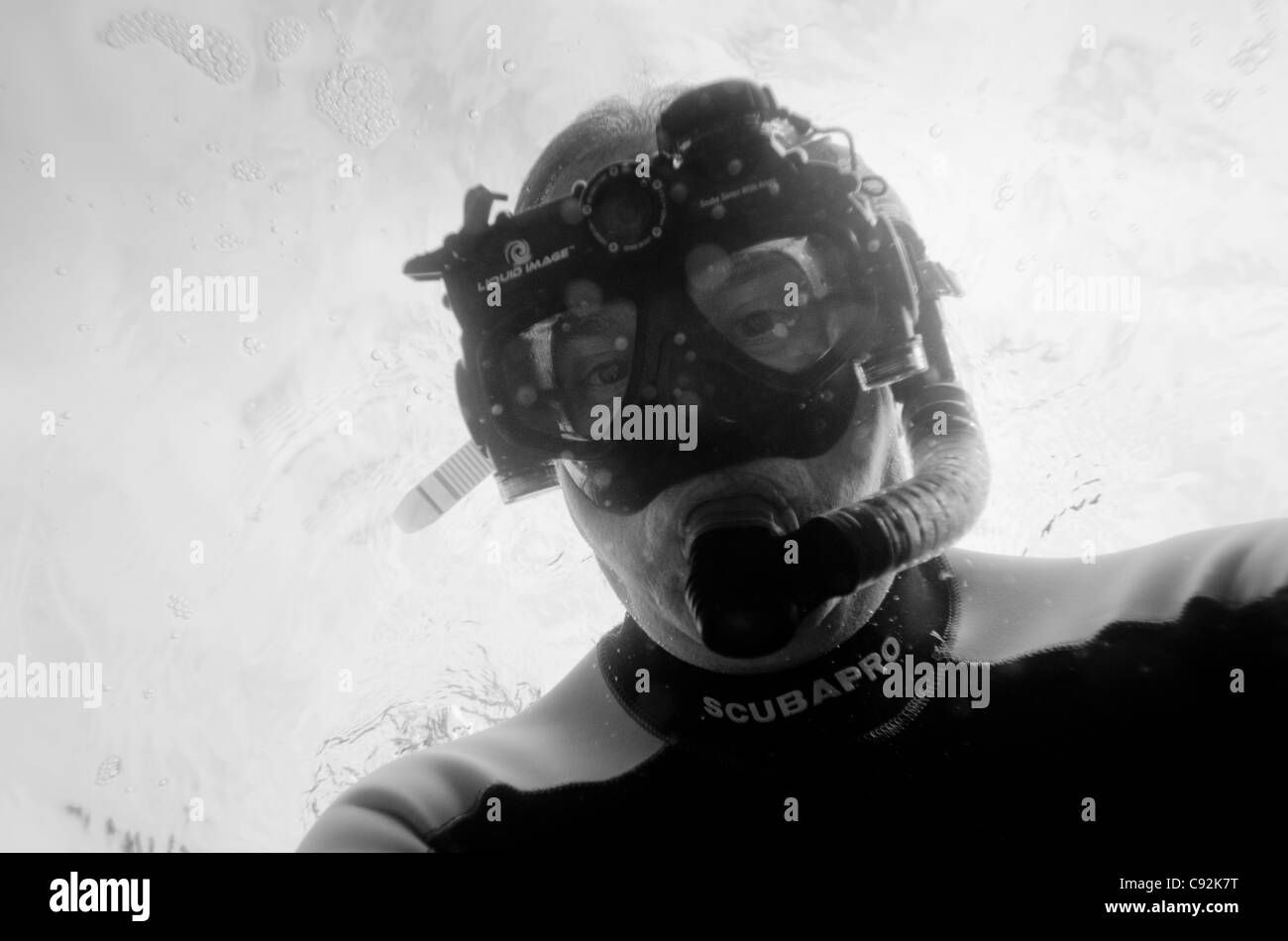 Scuba Diver nuoto subacqueo, Puerto Egas, isola di Santiago, Isole Galapagos, Ecuador Foto Stock