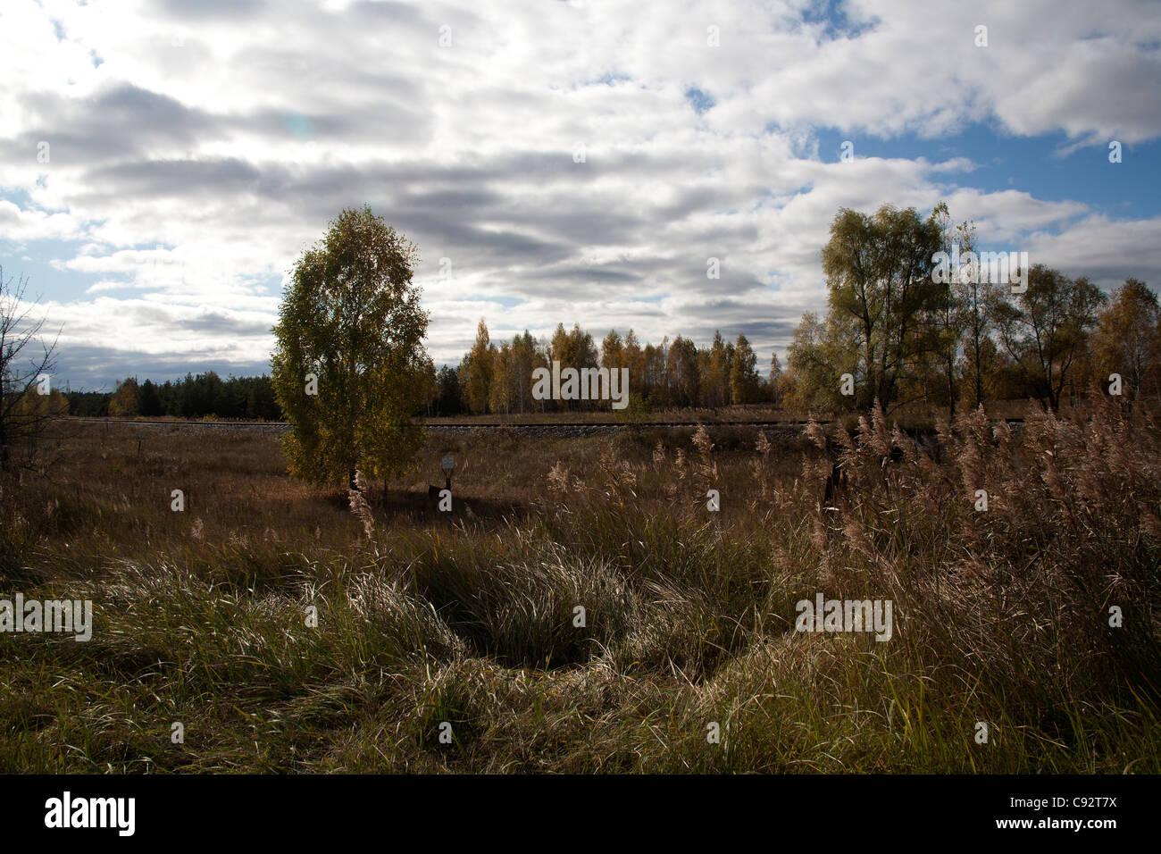 Campagna radioattivi in 10km Zona di esclusione di Chernobyl in Ucraina Foto Stock