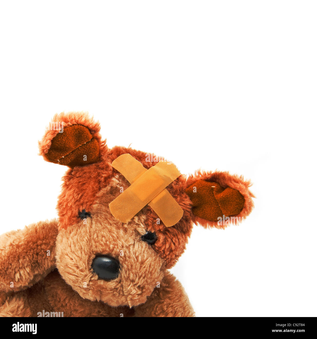 Carino piccolo orsacchiotto con gesso sulla sua testa su uno sfondo bianco Foto Stock