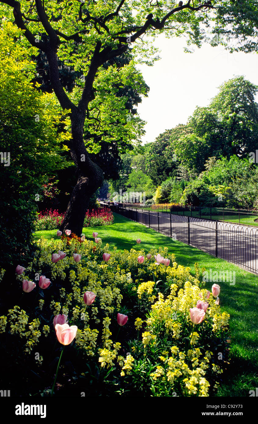 I giardini di Kensington, Hyde Park, Londra. Percorso attraverso il paesaggio decorativo aiuole. Estate Foto Stock