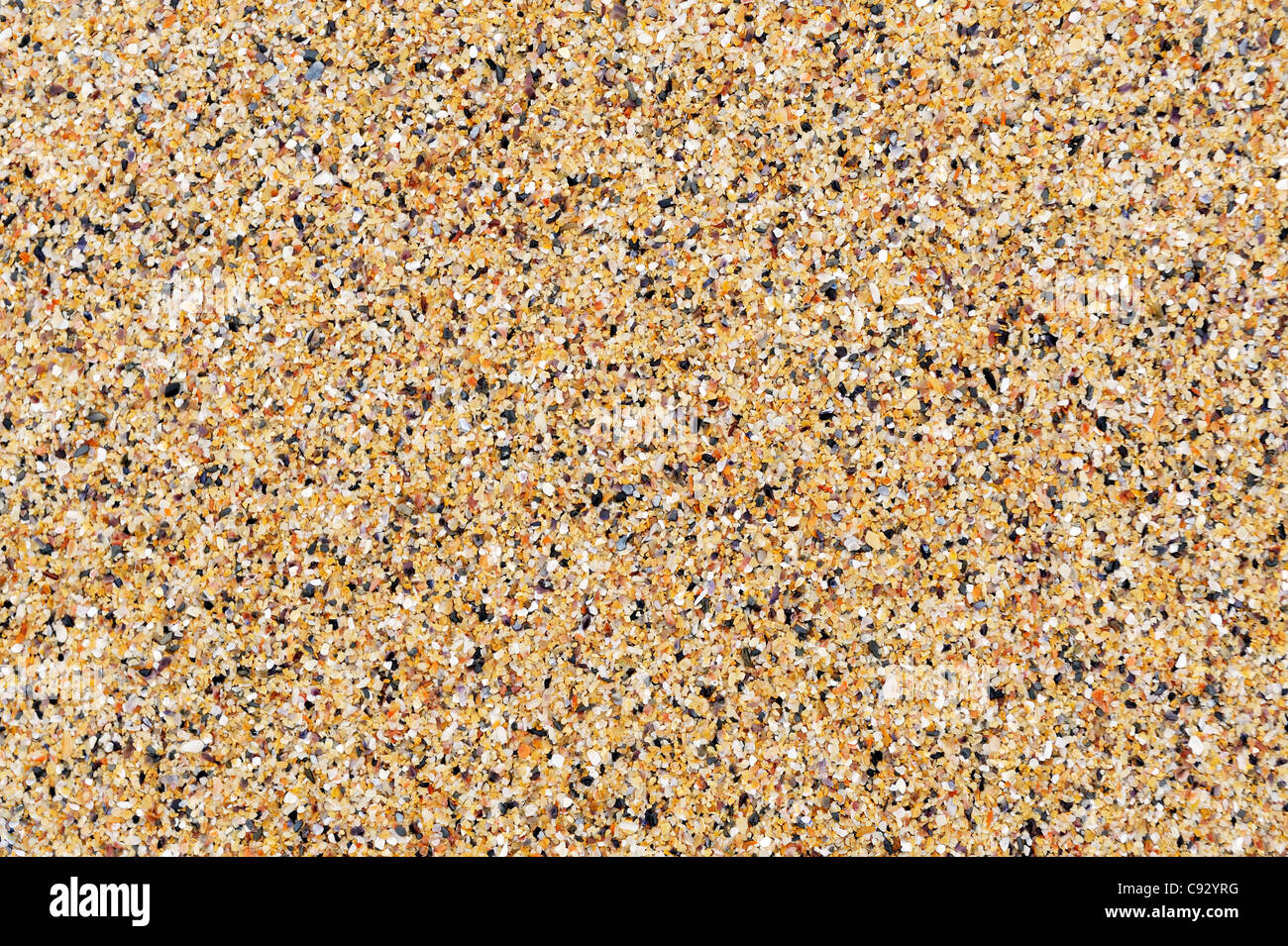 Close up sabbiosa spiaggia di sabbia naturale granuloso tessitura grossolana di gusci shell ghiaia di pietra a Constantine Bay Inghilterra Foto Stock