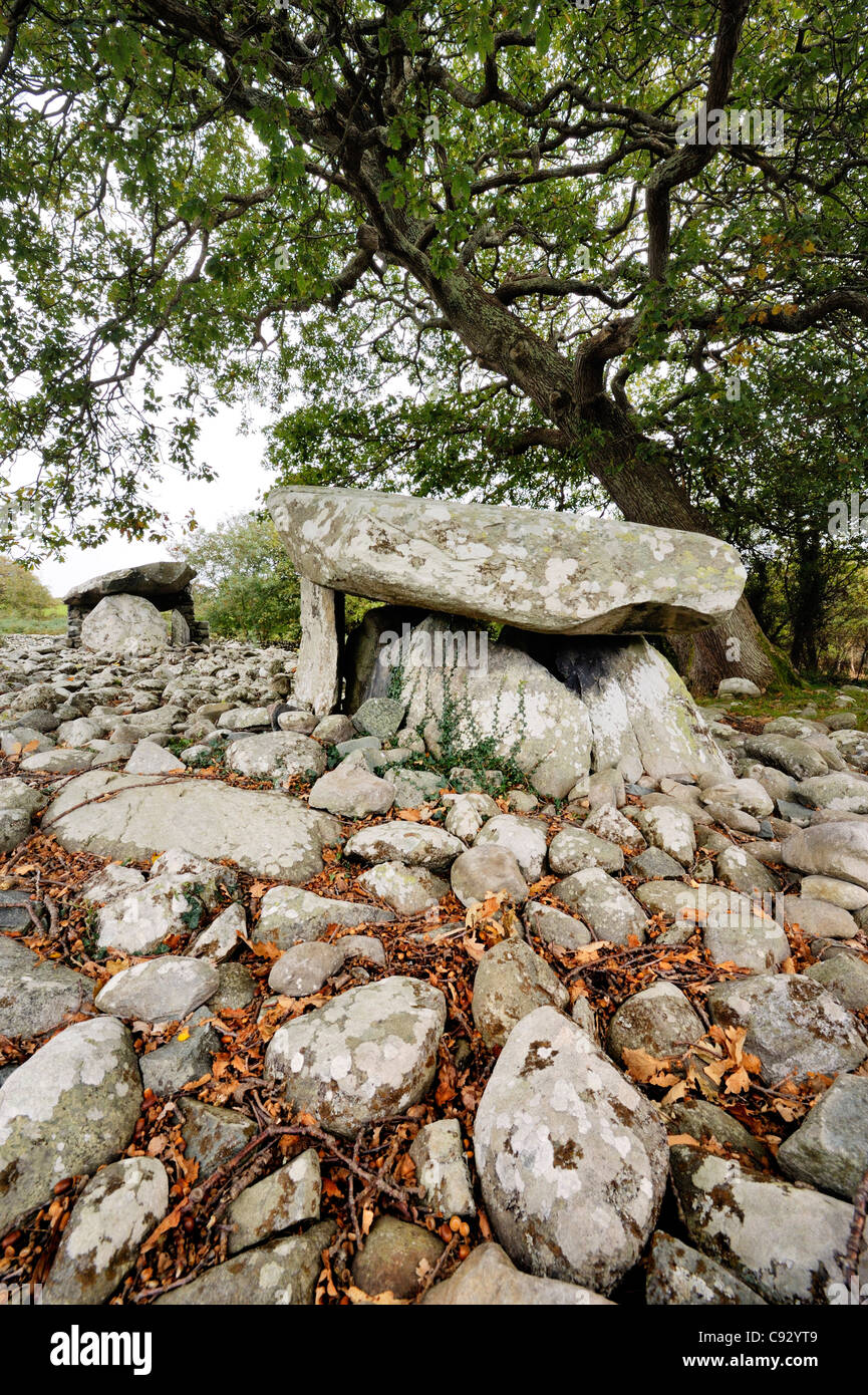 Dyffryn Ardudwy 6000 anni megalitici preistorici dolmen tomba. Due camere funerarie in Long Barrow cairn. Gwynedd, Wales, Regno Unito Foto Stock