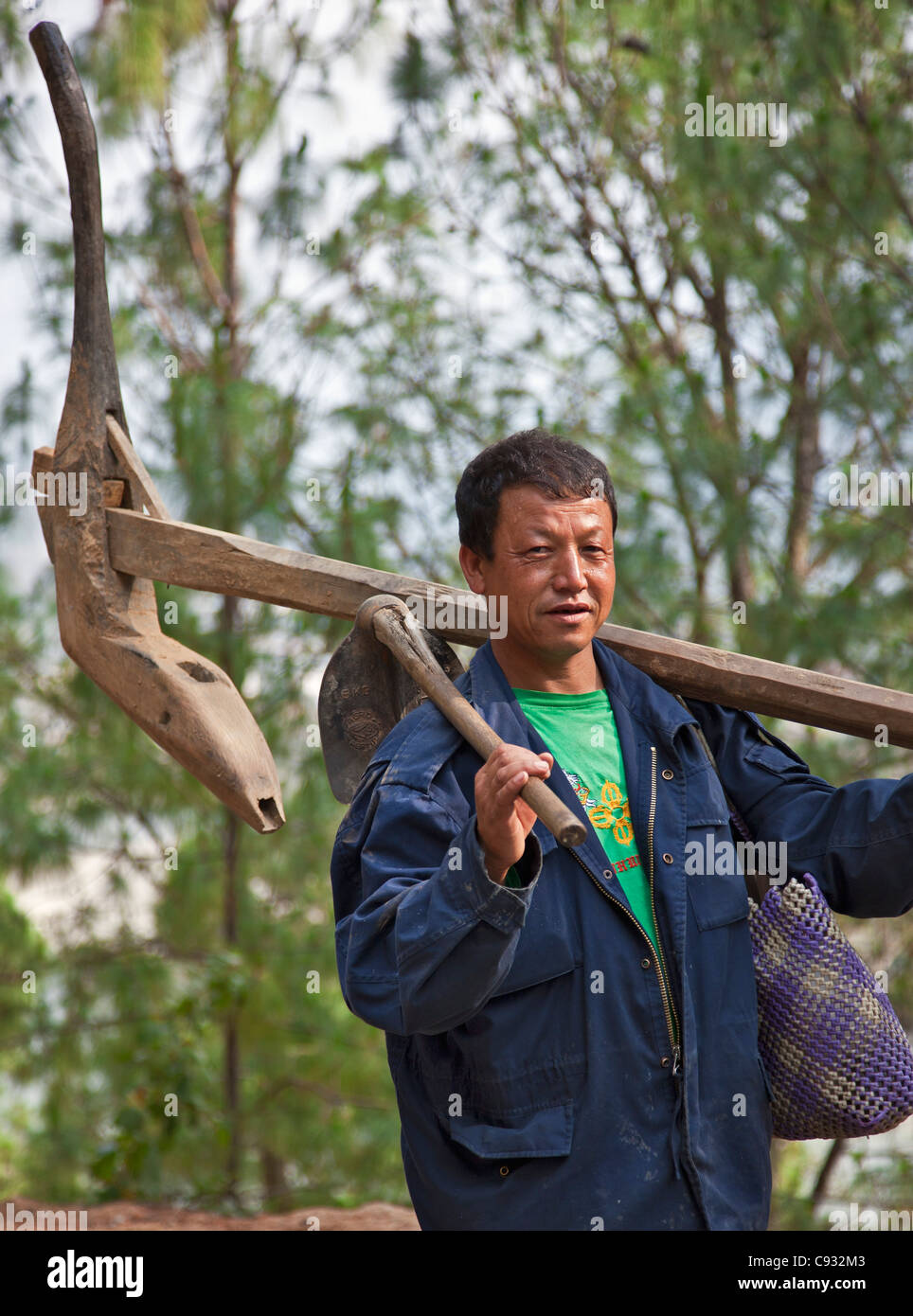 Un agricoltore porta il suo pesante aratro di legno per la sua fattoria nel fertile Punakha Valley. Foto Stock