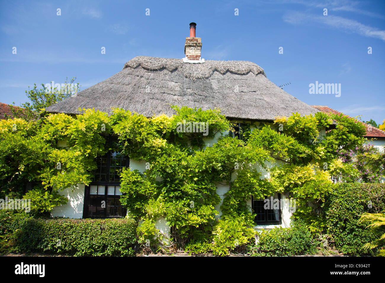 Inghilterra, Kent, Wickhambreaux. Un glicine-placcati cottage nel grazioso villaggio di Wickhambreaux. Foto Stock