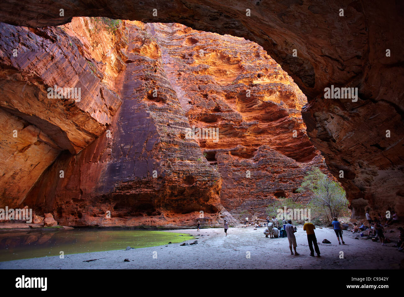 I turisti alla Cattedrale Gorge, pasticciare Bungles, Parco Nazionale di Purmululu, regione di Kimberley, Australia occidentale, Australia Foto Stock