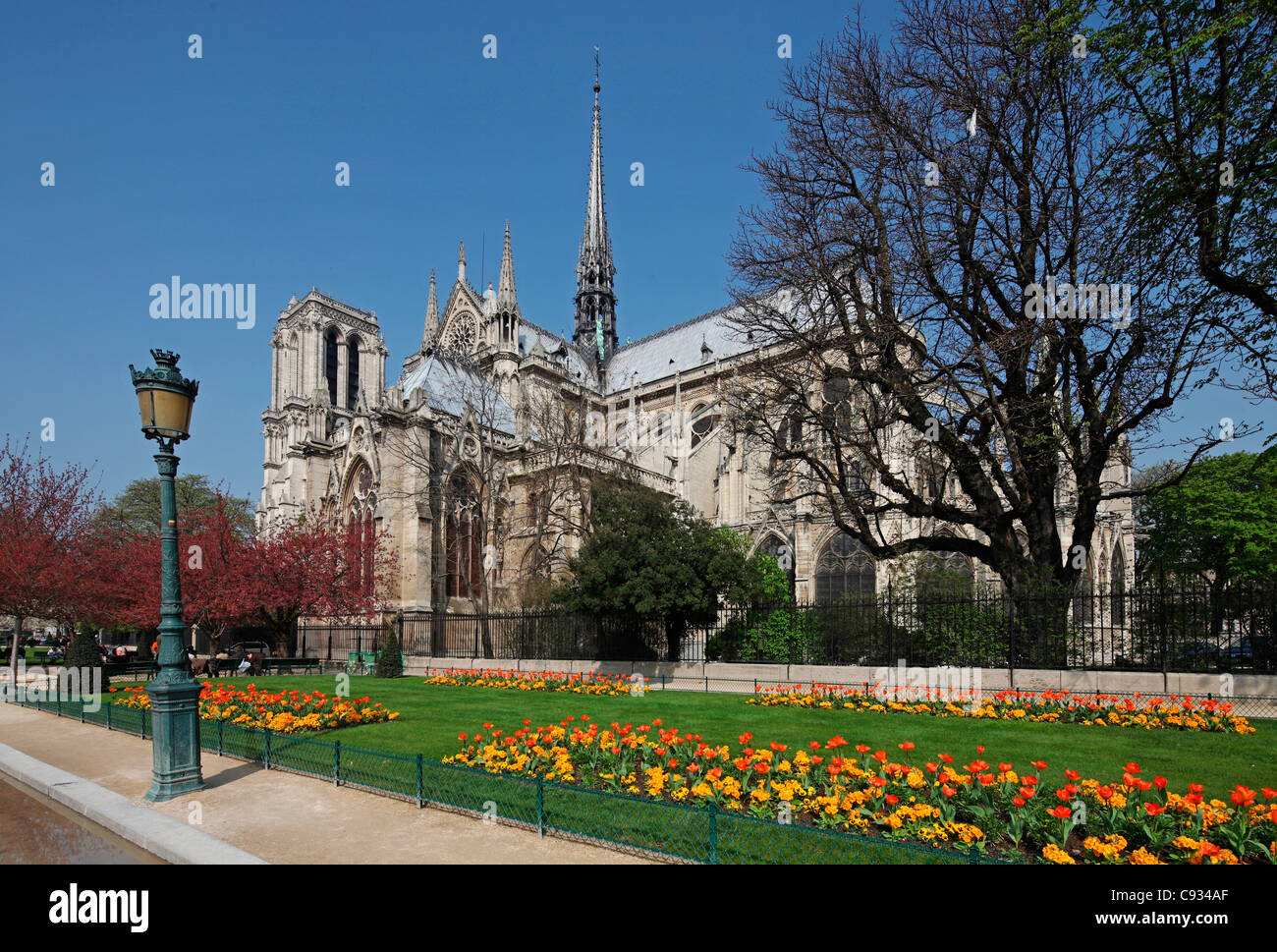 La famosa cattedrale di Notre Dame a Parigi, Francia Foto Stock