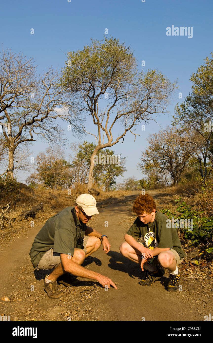 Il Malawi, Majete riserva faunistica. Guida Safari ricorda le vie per un ragazzo su una famiglia safari. Foto Stock