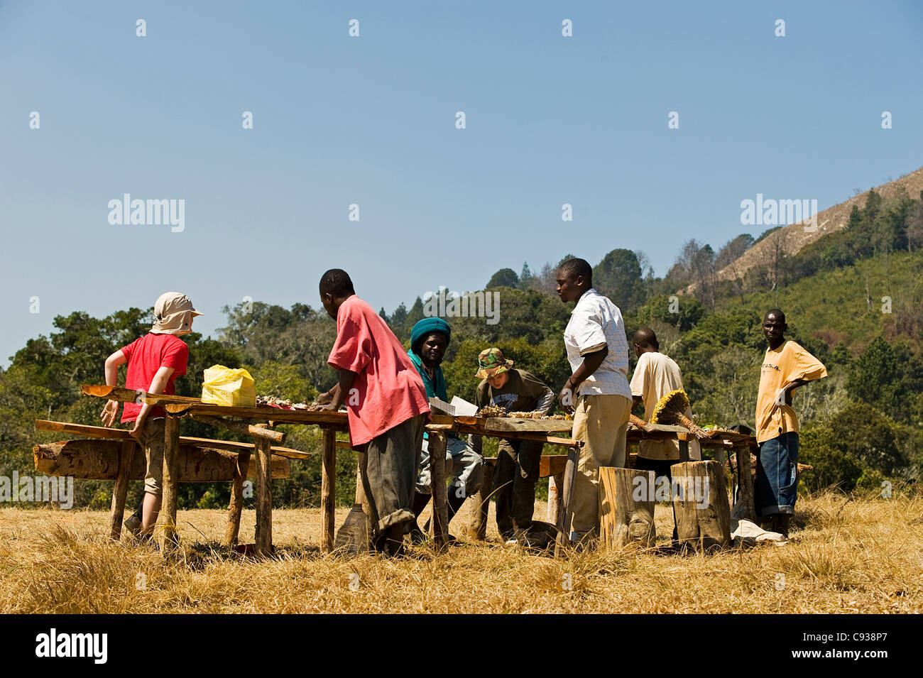 Il Malawi, Zomba Plateau. Gli uomini locali vendono semi-preziosi minerali e fiori selvatici in una fase di stallo vicino Chingwe il foro. Foto Stock
