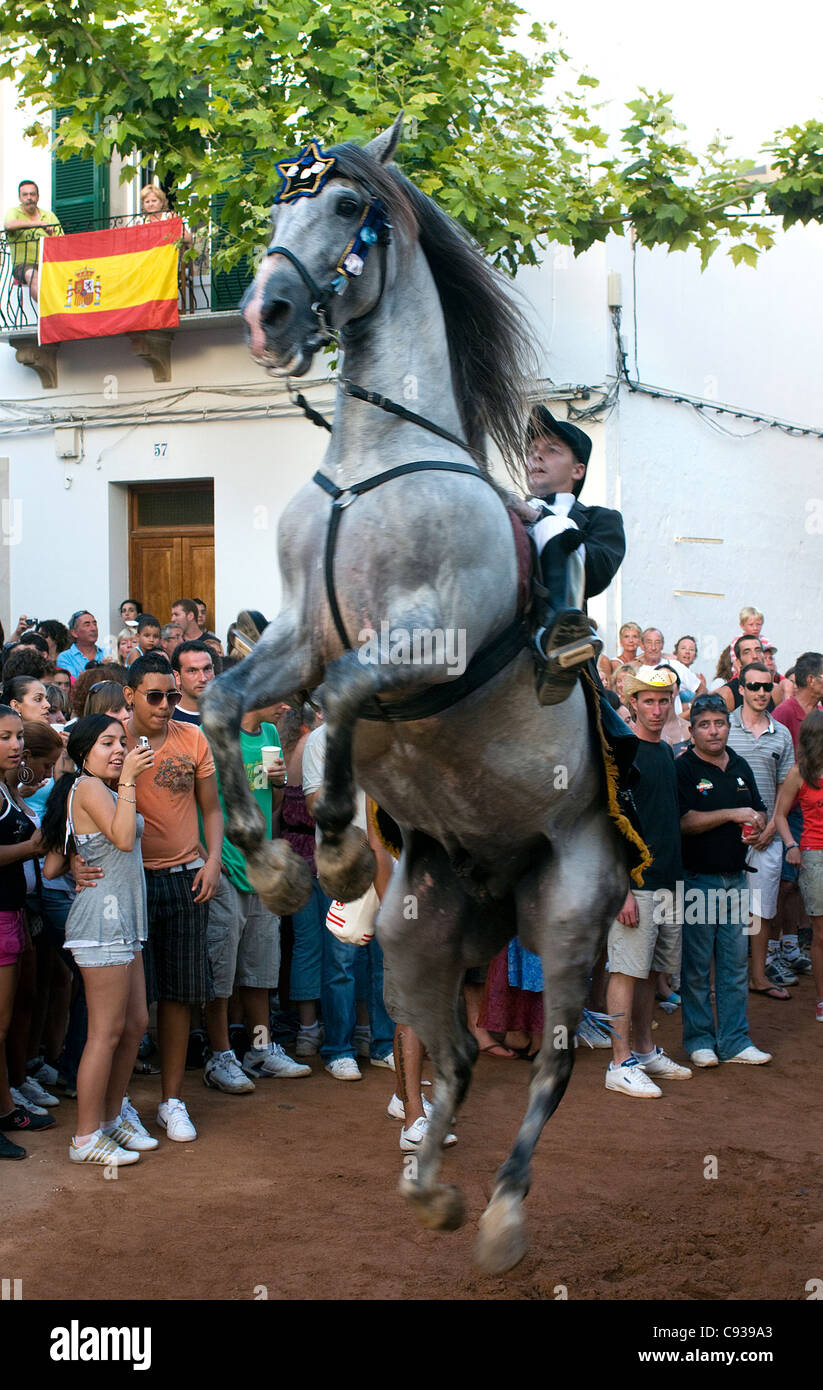 Cavaliere e cavallo in abito tradizionale alla celebrazione locale 'Sant Jaume Fiesta', Es Castell, Menorca, Baleari, Spagna Foto Stock