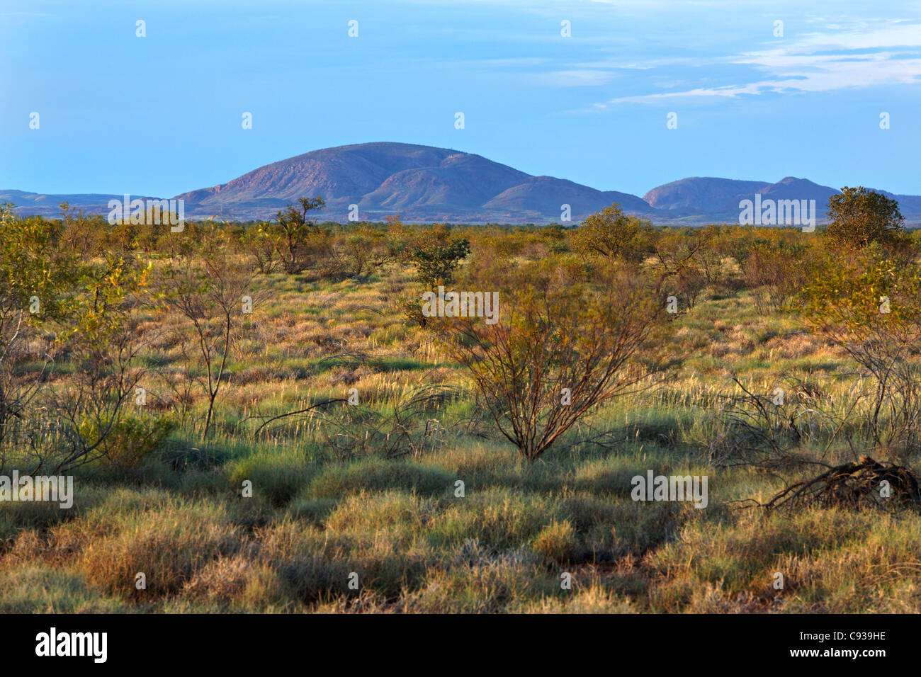 Outback australiano paesaggio, Pilbara Australia Occidentale Foto Stock