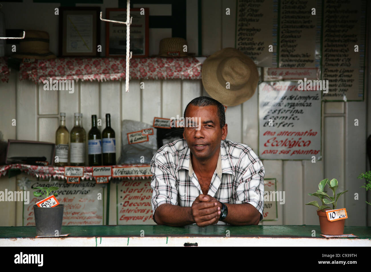 Houseplant shop a l'Avana, Cuba. Foto Stock
