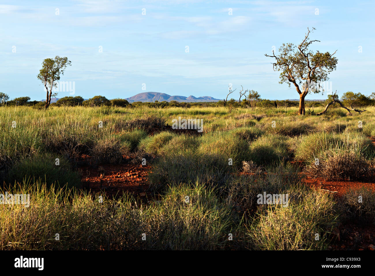 Outback australiano paesaggio, Pilbara Australia Occidentale Foto Stock